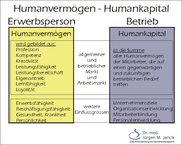 Humankapital - Humanvermögen